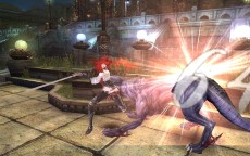 ꡼ No.020Υͥ / ֥ʥɡѥ ͥå󥹡ס緿åץǡȡͥȥפ㥹ȡȥǥɤȡȥӥ󥻥ȡɤо