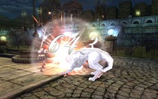 ꡼ No.026Υͥ / ֥ʥɡѥ ͥå󥹡ס緿åץǡȡͥȥפ㥹ȡȥǥɤȡȥӥ󥻥ȡɤо