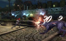 ꡼ No.027Υͥ / ֥ʥɡѥ ͥå󥹡ס緿åץǡȡͥȥפ㥹ȡȥǥɤȡȥӥ󥻥ȡɤо