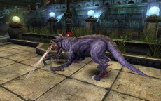 ꡼ No.031Υͥ / ֥ʥɡѥ ͥå󥹡ס緿åץǡȡͥȥפ㥹ȡȥǥɤȡȥӥ󥻥ȡɤо