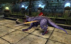 ꡼ No.032Υͥ / ֥ʥɡѥ ͥå󥹡ס緿åץǡȡͥȥפ㥹ȡȥǥɤȡȥӥ󥻥ȡɤо