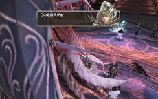 ꡼ No.057Υͥ / ֥ʥɡѥ ͥå󥹡ס緿åץǡȡͥȥפ㥹ȡȥǥɤȡȥӥ󥻥ȡɤо