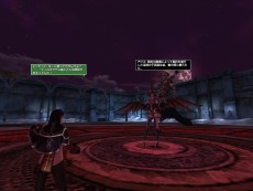 ꡼ No.067Υͥ / ֥ʥɡѥ ͥå󥹡ס緿åץǡȡͥȥפ㥹ȡȥǥɤȡȥӥ󥻥ȡɤо