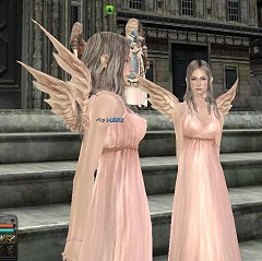 ꡼ No.027 | PR118֤Υ⥵ݡȡʤꥫ󥹥ȤOK ȥ饤󥲡̤ΰĩɡ֥ʥɡѥץ˥塼ݡ