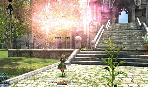 ꡼ No.054 | ֥ʥɡѥסĶԡɰǥʥꥪڤ1ꡦɤθ֥쥤פΥʤɤ