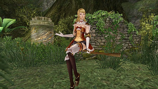 ꡼ No.019 | ֥ʥɡѥ緿åץǡȡ֥ե˥ƥԥץ쥤ݡȡMMORPG̥Ϥ᤹٤ܤ줿δŻοʻߤǧƤ