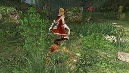 ꡼ No.022 | ֥ʥɡѥ緿åץǡȡ֥ե˥ƥԥץ쥤ݡȡMMORPG̥Ϥ᤹٤ܤ줿δŻοʻߤǧƤ