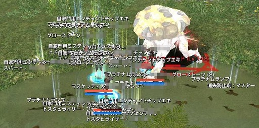 ꡼ No.029 | ֥ʥɡѥ緿åץǡȡ֥ե˥ƥԥץ쥤ݡȡMMORPG̥Ϥ᤹٤ܤ줿δŻοʻߤǧƤ