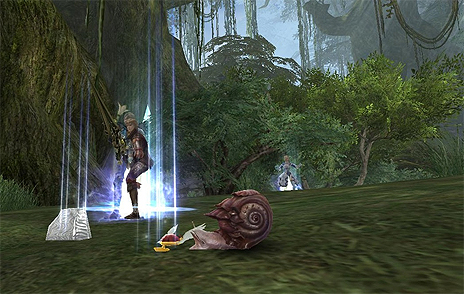 ������#008�Υ���ͥ���/�֥���ʥɡ������ѥ��ס���36����֥����ե����פ����3��ɥ��åץ����ƥ������Ψ����뿷�ڥåȤ���������