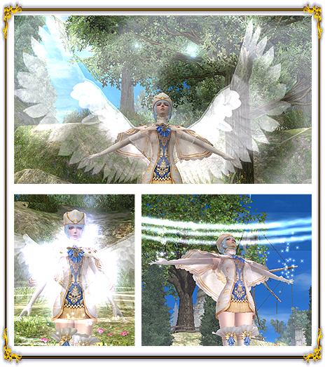 ꡼ No.008Υͥ / ֥ʥɡѥס˥ǽϤȤʤFINAL EPISODEɤ˥ŷ;ȥꥶ١Ȥо