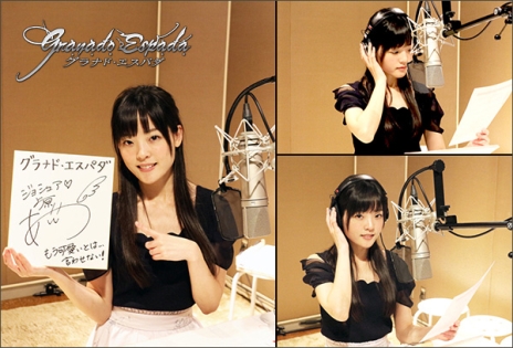 ꡼ No.009Υͥ / ֥ʥɡѥפΥåץǡȡֲԥΥ꡼ꥷδ׼»ܡ֥祷奢Х̡CV帶ˡפ