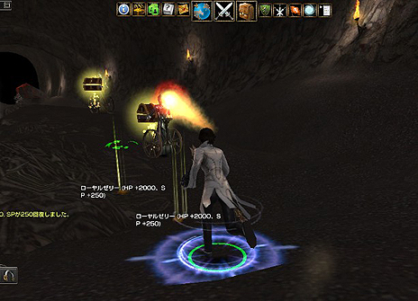 ꡼ No.008Υͥ / ֥ʥɡѥסޤ11ǯåץǡȤ»ܡȥǡ쥭ɤͷ̥ߥåʤɳƼ