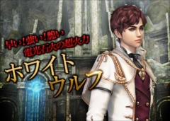 ꡼ No.002 | ֥ʥɡѥפ˿֥ס֥ۥ磻ȥաפߥåɹ˲פɲä䥭ǽĴ»