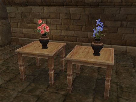 ������#005�Υ���ͥ���/����ҳ�����ץ��åץǡ��ȡ�Festival de Pescador�פκǿ���������