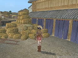 ꡼ No.051 | ҳ Online El OrienteפΡ֥ץ쥹Իͷפ»