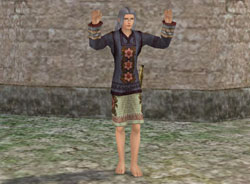 ꡼ No.032 | ҳ Online Tierra AmericanaפοChapterǤϥ󥰤­פɤȤˡΦˤפChpater2󥿥ӥ塼Ǻ