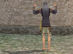 ꡼ No.033 | ҳ Online Tierra AmericanaפοChapterǤϥ󥰤­פɤȤˡΦˤפChpater2󥿥ӥ塼Ǻ