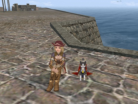 画像ギャラリー No.008のサムネイル画像 / 「大航海時代 Online」に“のぶニャが様”が新たなペットとして登場