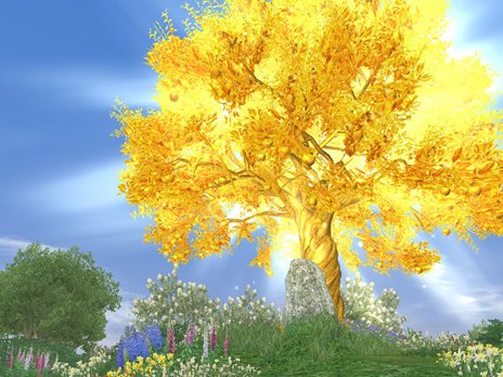 ꡼ No.002Υͥ / ҳ Online2013ǯ18˼»ͽΥåץǡȡ֥եפοǤƤ