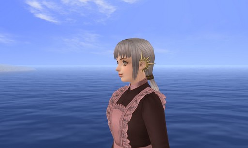 ꡼ No.020 | ҳ OnlineפγĥѥåLost MemoriesפǤϡĤƤιҳԤܻؤĩࡣ꡼ľαĥ󥿥ӥ塼Ǻ