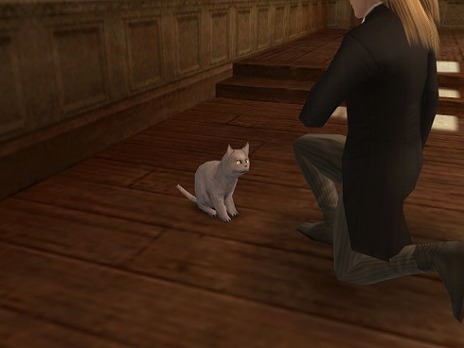 ꡼ No.012 | ҳ Onlineס緿åץǡȡPolarisɤ1018˼ޤŷޤδܻؤо