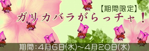 ���������꡼ No.006�Υ���ͥ������ / �֥ߥå����ޥ������ץ������򽸤��ȱ�����ο����Ѥ���������ʴ�����Ƥ褦