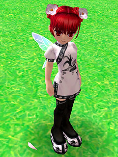 ������#007�Υ���ͥ���/�֥����äȥ���� �ѥ��ס����200�������ˡ� �������α����о�