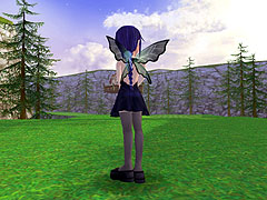 ������#010�Υ���ͥ���/�֥����äȥ���� �ѥ��ס����200�������ˡ� �������α����о�