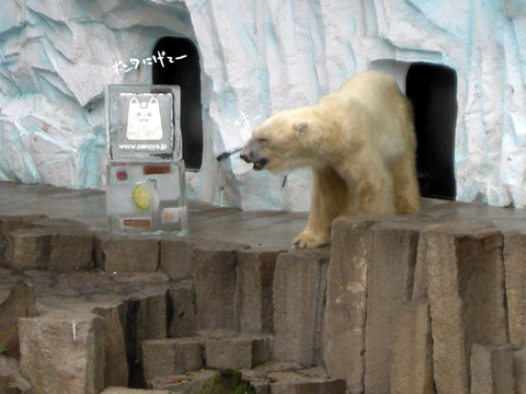 画像集#001のサムネイル/「スカッとゴルフ パンヤ」のポンタが上野動物園に出張