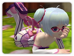 ꡼ No.004Υͥ / ֥ѥ׿쥢֥ޥפɲáؤǥƥब館