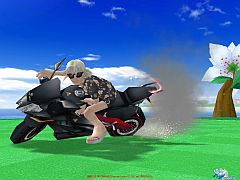 ꡼ No.003Υͥ / ֥ѥסο͵Ρ롼ΥСǡ٥ȤⳫ