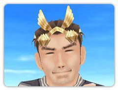 ���������꡼ No.006�Υ���ͥ������ / �֥����äȥ���� �ѥ������ܤ�PWC��ͥ������ǰ���̥����ƥ����������Ϳ