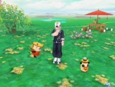 ���������꡼ No.010�Υ���ͥ������ / �֥����äȥ���� �ѥ������ܤ�PWC��ͥ������ǰ���̥����ƥ����������Ϳ