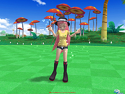 ꡼ No.005Υͥ / ֥äȥ ѥס˥ֿά!?̼פȤΥܴ򥹥