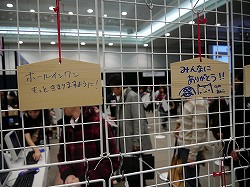 ���������꡼ No.024�Υ���ͥ������ / �֥ѥ���紶�պסץ��٥�ȥ�ݡ��ȡ�����ե��å����Υ�˥塼�����֥ѥ�䥰���ץ�ʲ��ˡפμ����ʤɥ��åץǡ��Ⱦ�������