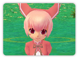 画像ギャラリー No.002のサムネイル画像 / 「パンヤ」,「ロロの日」記念日キャンペーンがスタート