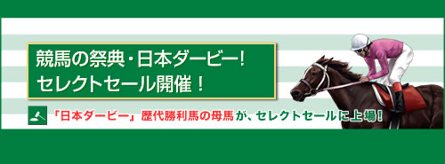 画像ギャラリー No.002のサムネイル画像 / 「競馬伝説Live！」日米ダービーシリーズのカード登場