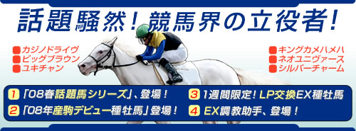 画像ギャラリー No.001のサムネイル画像 / 「競馬伝説Live!」,08年話題馬とEX調教助手のカードが登場