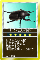 画像ギャラリー No.003のサムネイル画像 / 「競馬伝説Live！」さよなら08年夏，カブトムシをその手に