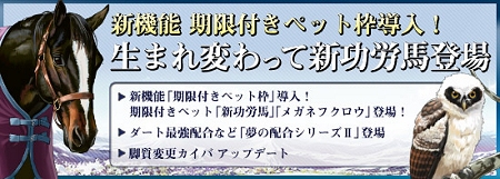 ���������꡼ No.014�Υ���ͥ������ / ���򤵤˼������ꡪ�ֶ�������Live���פǥХ�󥿥��󥤥٥�Ȥȡ����򤯤ʤ��ä���2,000�ߥץ쥼��ȥ����ڡ���פ����Ť�