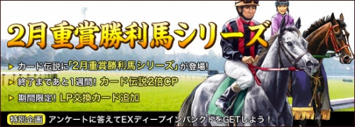 ���������꡼ No.002�Υ���ͥ������ / �ֶ�������Live���ס�����������ˡ�2��ž޾����ϥ��꡼�����о�