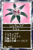 ꡼ No.008Υͥ / ֶLiveסۥ磻ȥ祳ǥХ󥿥ǡΤ֤