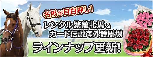 ꡼ No.003Υͥ / ֶLiveסﲴϤȤƥǥץѥȤʤɤΥӡϤо