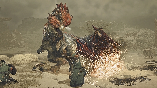 画像ギャラリー No.004のサムネイル画像 / Switch2版「モンスターハンターワイルズ」序盤体験版を本日配信。Chapter1-3まで遊べる。最大4人のローカル通信にも対応