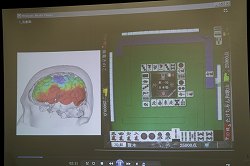 ꡼ No.014Υͥ / 饤ǧξͽɤΩĤΤʥȡMaru-JanפȤäǧξͽɤĴ˴ؤ뵭ȯɽ򳫺