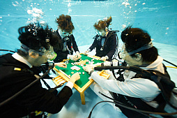 ꡼ No.002Υͥ / ʥȡMaru-Janפǡȥʥȡ϶20ǯǰסɳ