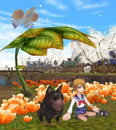 ꡼ No.002 | ֥եաסڥåȡ֥ߥʥפܥåƥо