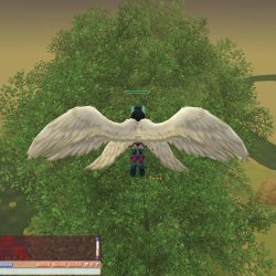 ꡼ No.012Υͥ / 󼡿¤5ǯȾ褦䤯ܸ֥եե饤ס16åץǡȡRise of the Muranԥݡ