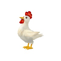 ꡼ No.007 | ֥եե饤ס17緿åץǡȡCOLOSSEUMפ