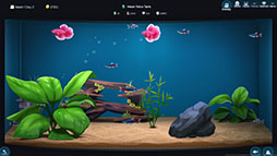 画像ギャラリー No.002のサムネイル画像 / アクアリウムショップ経営を楽しめる「The Fish Corner」，デモ版が6月12日にSteamで公開予定